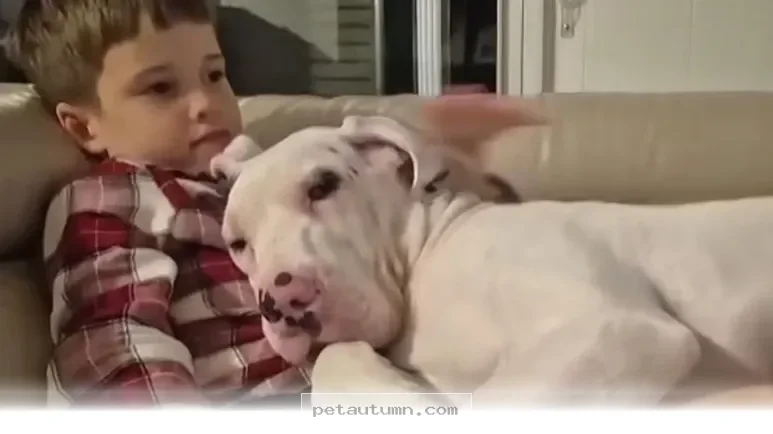 How 5 Simple Ways to Strengthen Your Bond With Your Pet in 2026