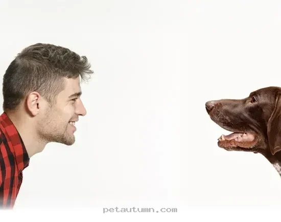 How Your 2026 Dog Mirrors Your Expressions to Show Deep Connection