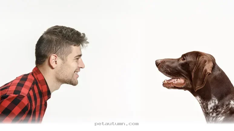 How Your 2026 Dog Mirrors Your Expressions to Show Deep Connection