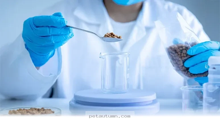 Important Facts Pet Owners Should Know About Kibble Quality in 2026