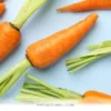 Simple Pantry Staples Your Pets Will Love To Eat In 2026