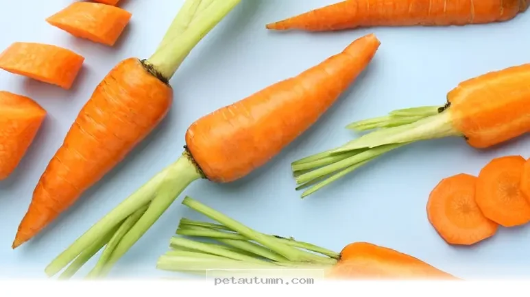 Simple Pantry Staples Your Pets Will Love To Eat In 2026