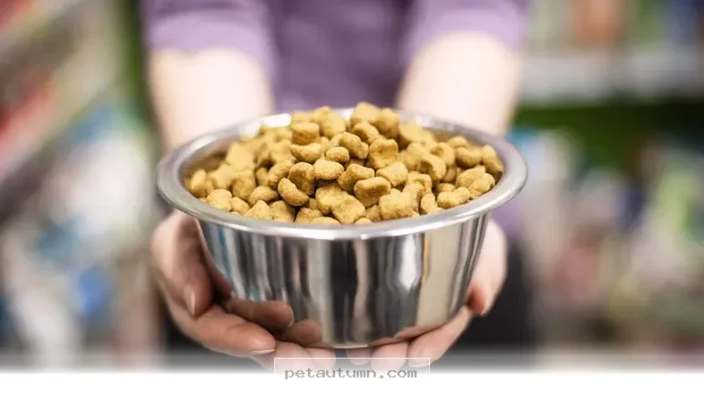 Top 5 Facts Pet Owners Should Know About Nutrition Choices in 2026