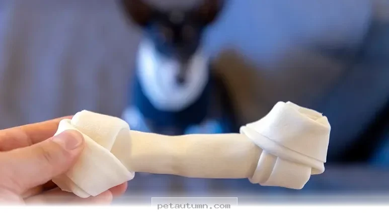 Critical Tips for Selecting Safer Dog Chews for Your Pet in 2026