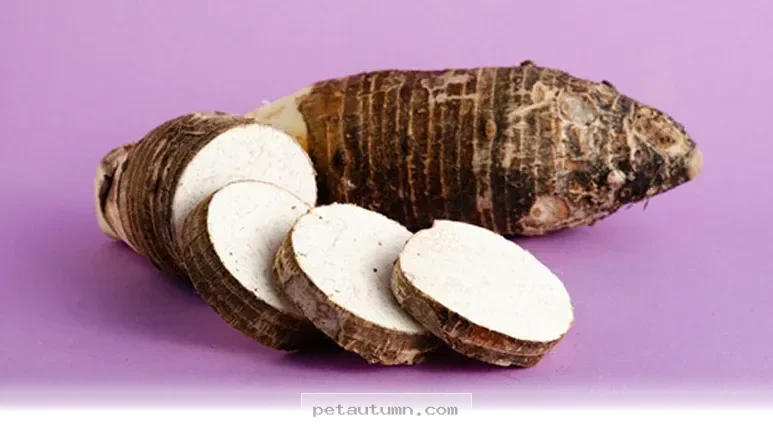 Healthy Reasons Why Sweet Potatoes Are Great For Dogs In 2026