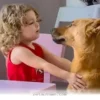 How 1 Brave Rescue Dog Changed a Little Girl’s Life in 2026