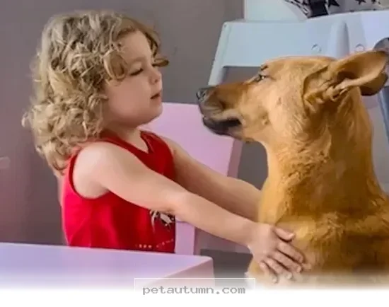 How 1 Brave Rescue Dog Changed a Little Girl’s Life in 2026