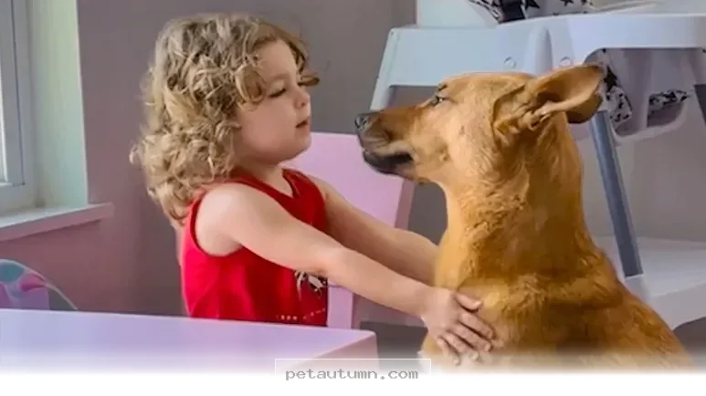 How 1 Brave Rescue Dog Changed a Little Girl’s Life in 2026