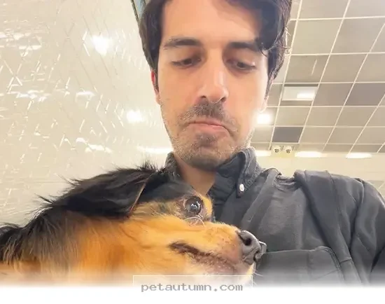 How 1 Dog Sitting Job Became a Fun 2026 Pet Care Journey for Me