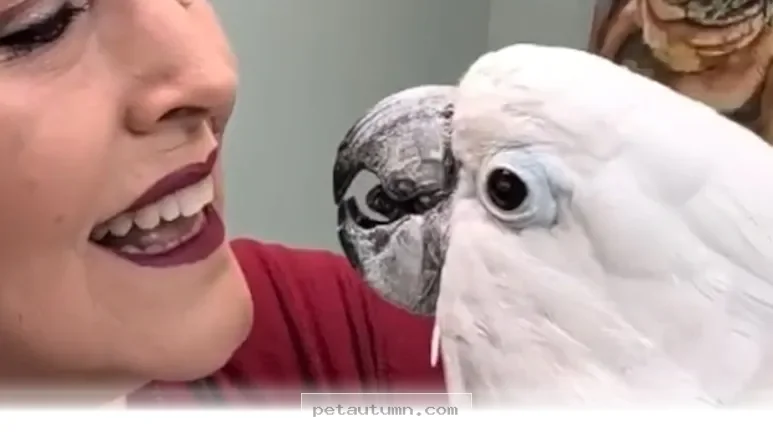How 1 Special Bird Found a New Way to See the World in 2026