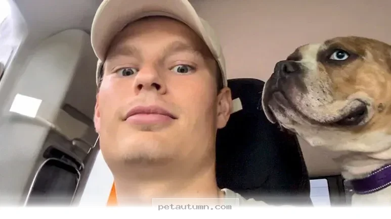How 5 Loving Families Changed a Shelter Dog’s Life in 2026