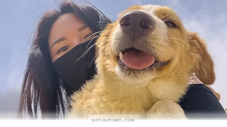 How One Dedicated Owner Rescued a Stray Dog Across 5 Countries in 2026