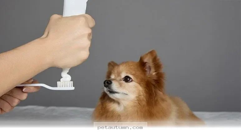 How to Keep Your Dog’s Breath Fresh and Healthy Through 2026