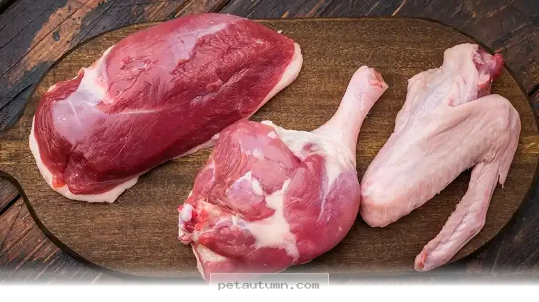 Simple Tips for Choosing the Best Pet Protein Options in 2026