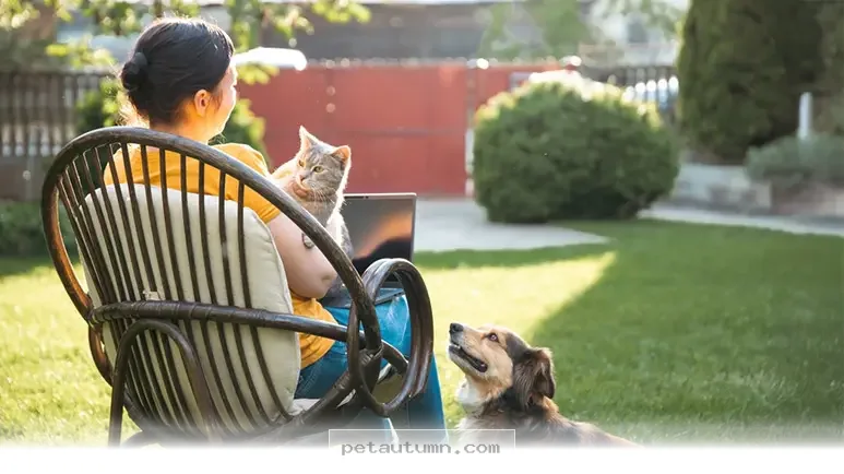 Top 5 Reasons Your Pet Is The Best Family Companion To Have In 2026