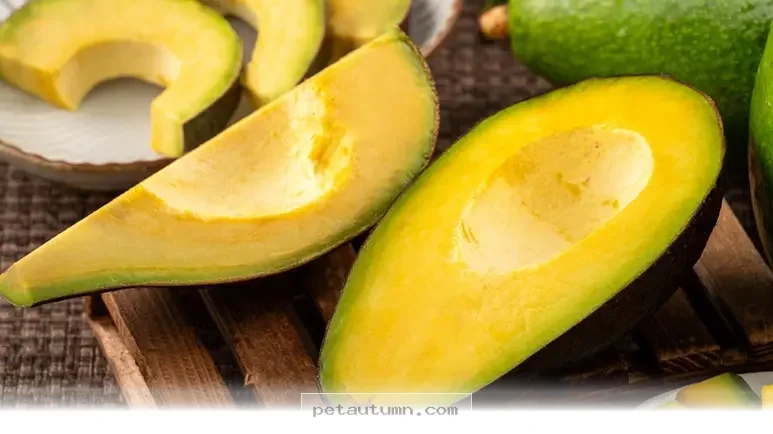 Boost Your Pet Eye Health With 5 Natural Green Foods In 2026