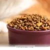 Essential Tips for Healthy Pet Meal Additions to Try in 2026