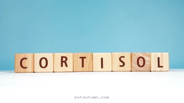How 1 Key Hormone Impacts Your Pet Health Trends for the Year 2026