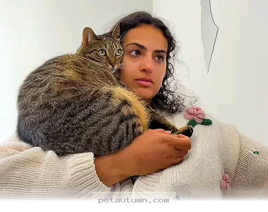 How 2 Rescue Kittens Became Best Friends in Their New Home in 2026