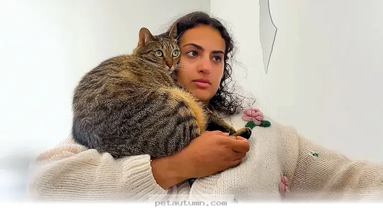 How 2 Rescue Kittens Became Best Friends in Their New Home in 2026