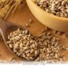 How 5 Common Pet Food Fillers Affect Your Dog’s Health in 2026