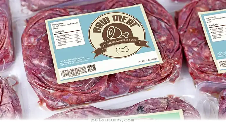 Keeping Your Pets Safe With 2026 Raw Food Safety Tips for Owners