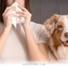 Managing 5 Proven Ways to Live Happily With Your New Puppy in 2026