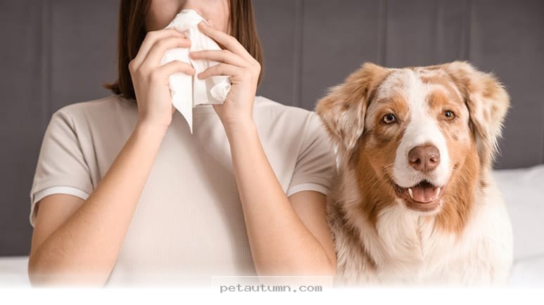 Managing 5 Proven Ways to Live Happily With Your New Puppy in 2026