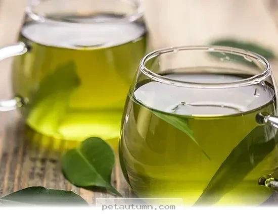 Safe Herbal Teas You Can Share With Your Pets in 2026 and Beyond