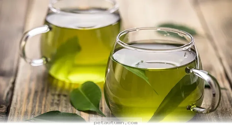 Safe Herbal Teas You Can Share With Your Pets in 2026 and Beyond